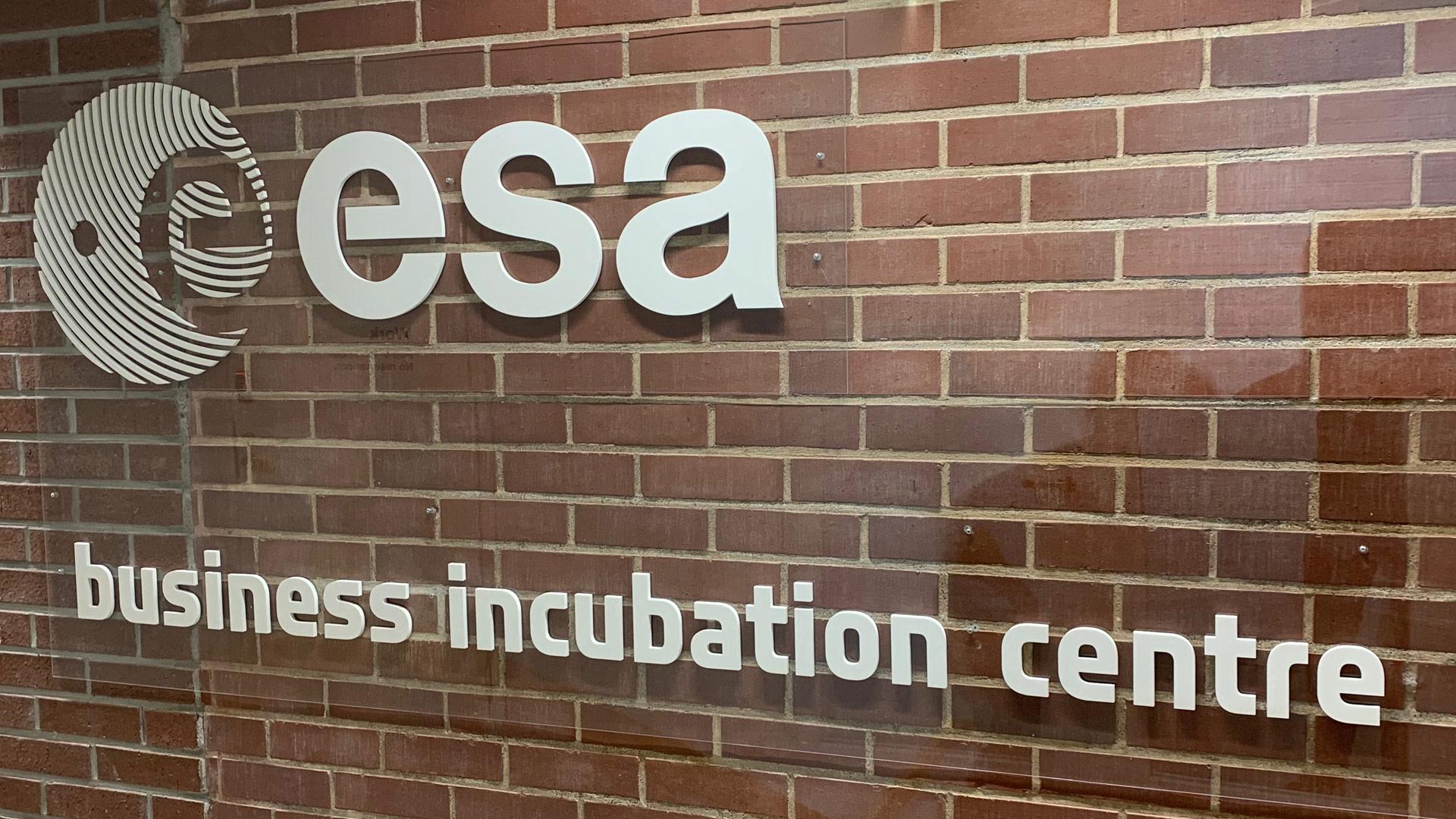 ESA BIC Finland logo