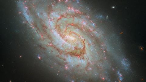 IC 1954